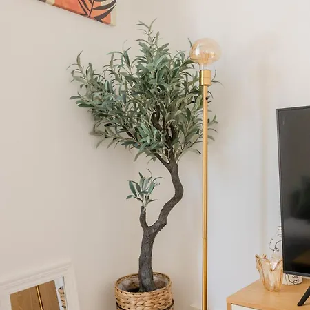 Daire Magnan, Proches Et Tramway Nice